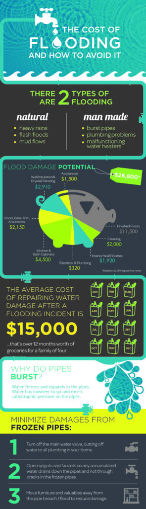 The Cost of Flooding and How to Avoid it infographic